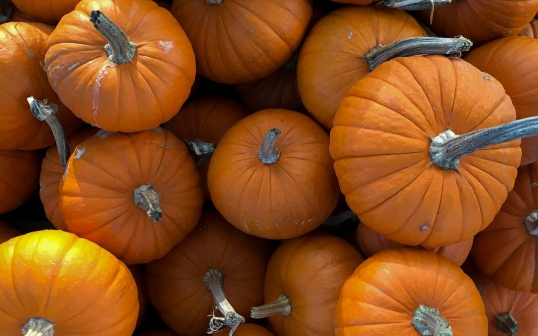 Neighborhood Halloween Party Oct. 31st